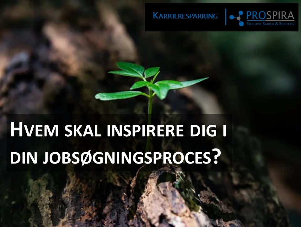 Hvem skal inspirere dig i din jobsøgningsproces?